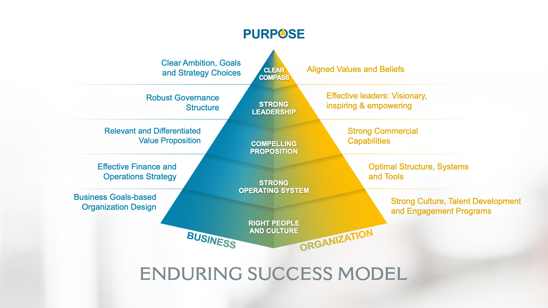 Acumen's Enduring Success Model